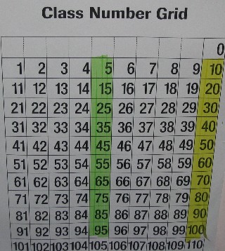5 S Counting Chart